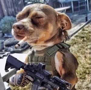 Meet your Posher, Yandel